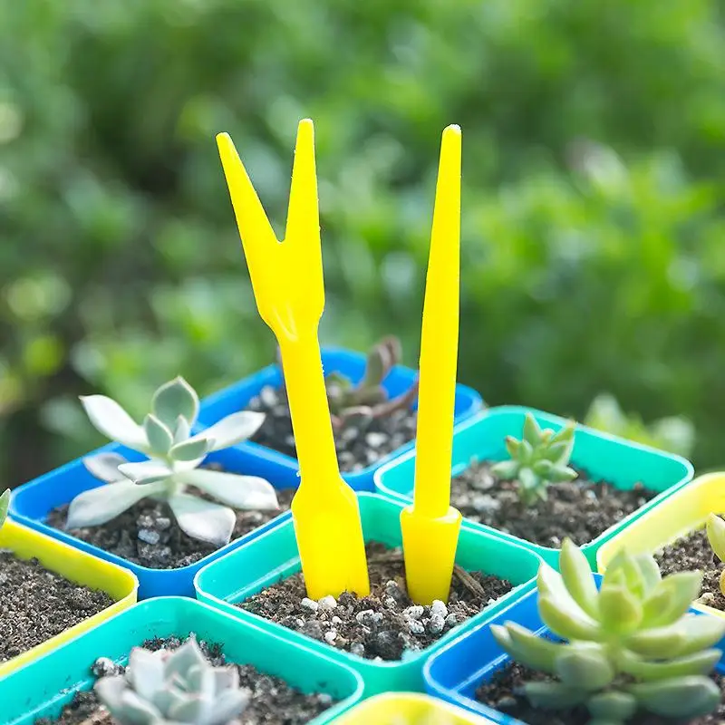 Succulent Set - 1/10 قطعة البذر العصارة زرع الشتلات