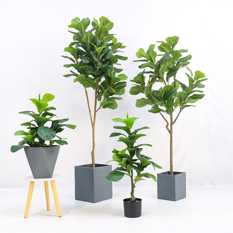 Fiddle Leaf Fig - نبتة فيكس ليروتا (الفيج) الاصطناعية في