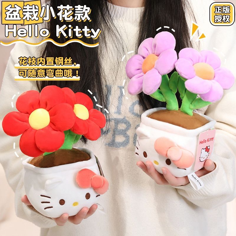 23 سم أصلي مع بطاقة هيلو كيتي، - مراجعة Plant Pot وسعره