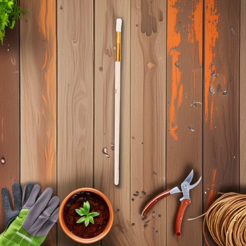 10 قطع من فرش التلقيح للحدائق، - مراجعة Indoor Plants وسعره