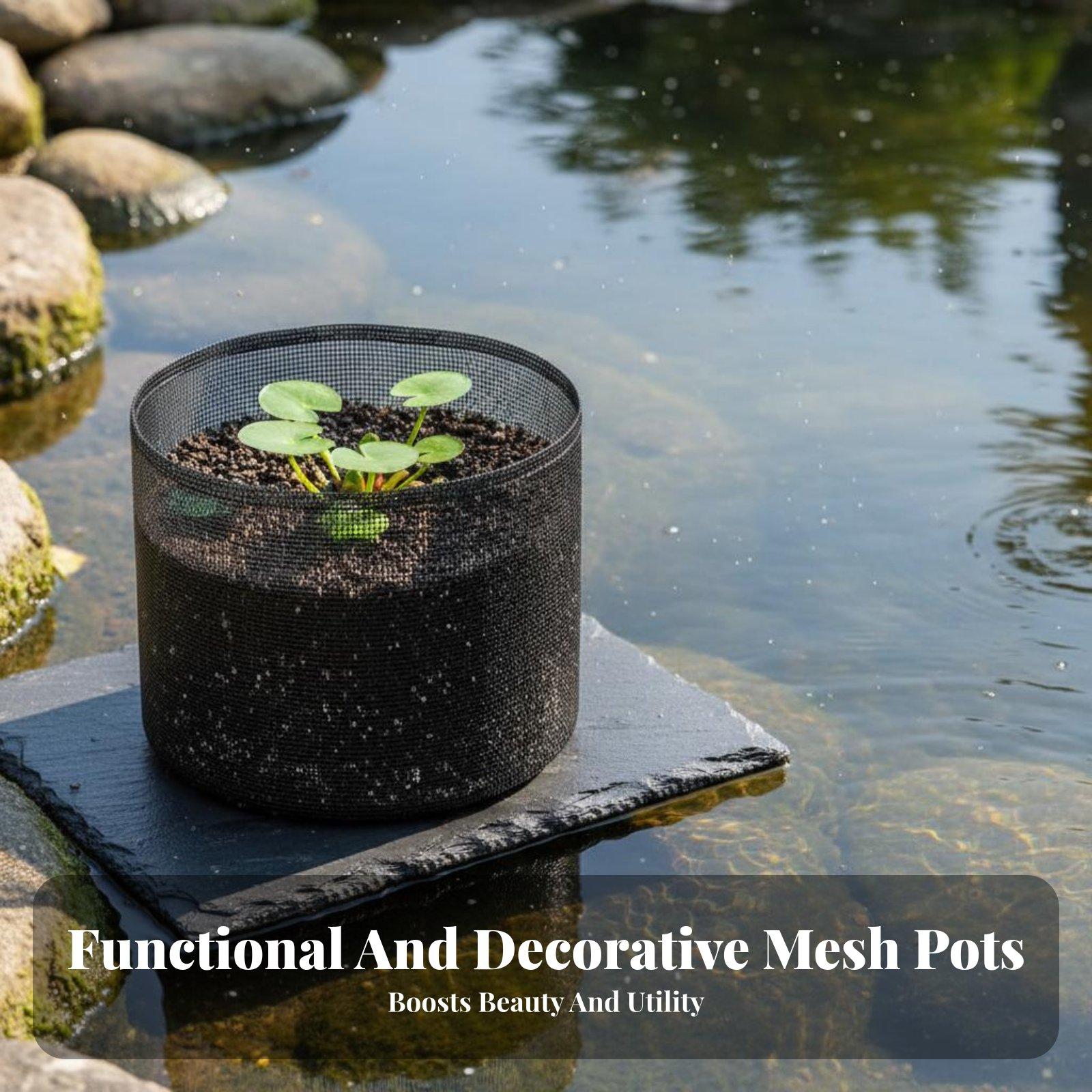 أربعة أوعية لزراعة نباتات زنبق - مراجعة Plant Pot وسعره