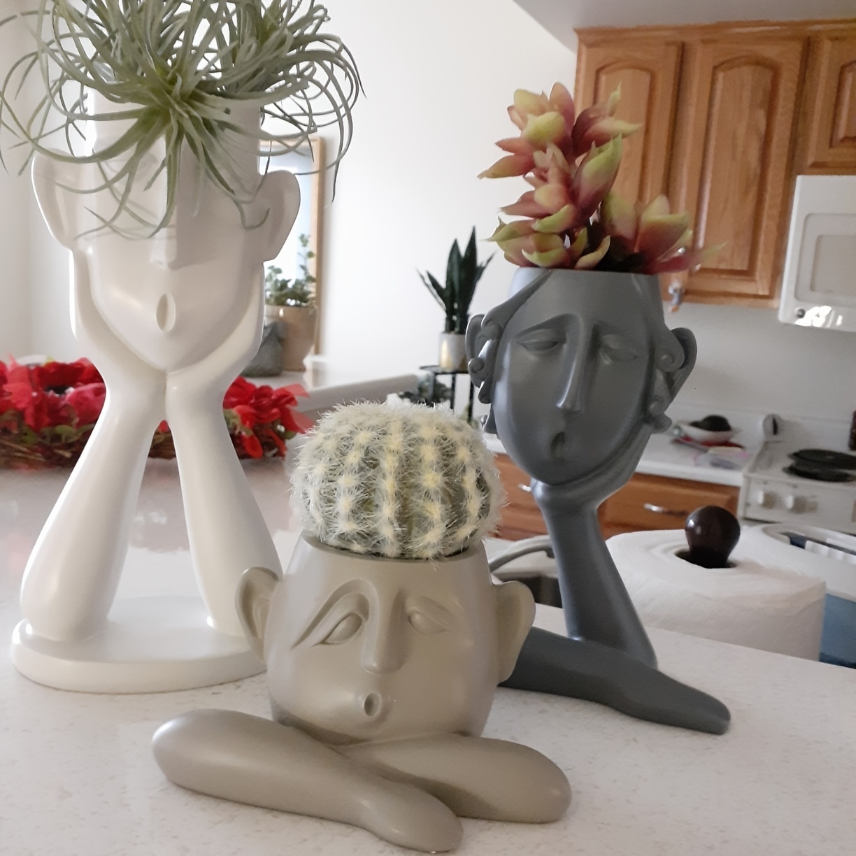 مجموعة مكونة من 3 قطع من تمثال - مراجعة Succulent Set وسعره