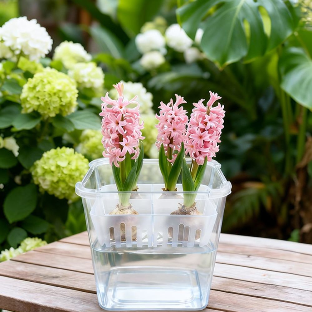 وعاء زراعة مائية للزهور، مناسب - مراجعة Plant Pot وسعره