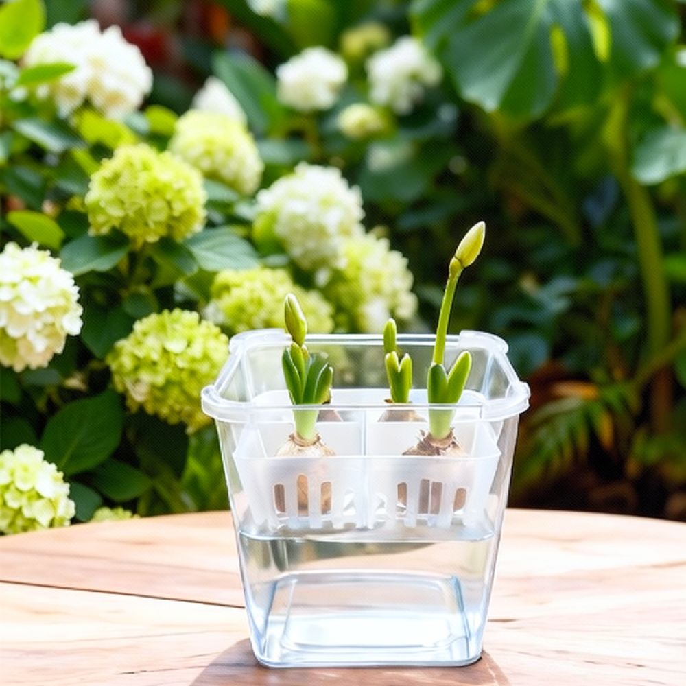 وعاء زراعة مائية للزهور، مناسب - مراجعة Plant Pot وسعره