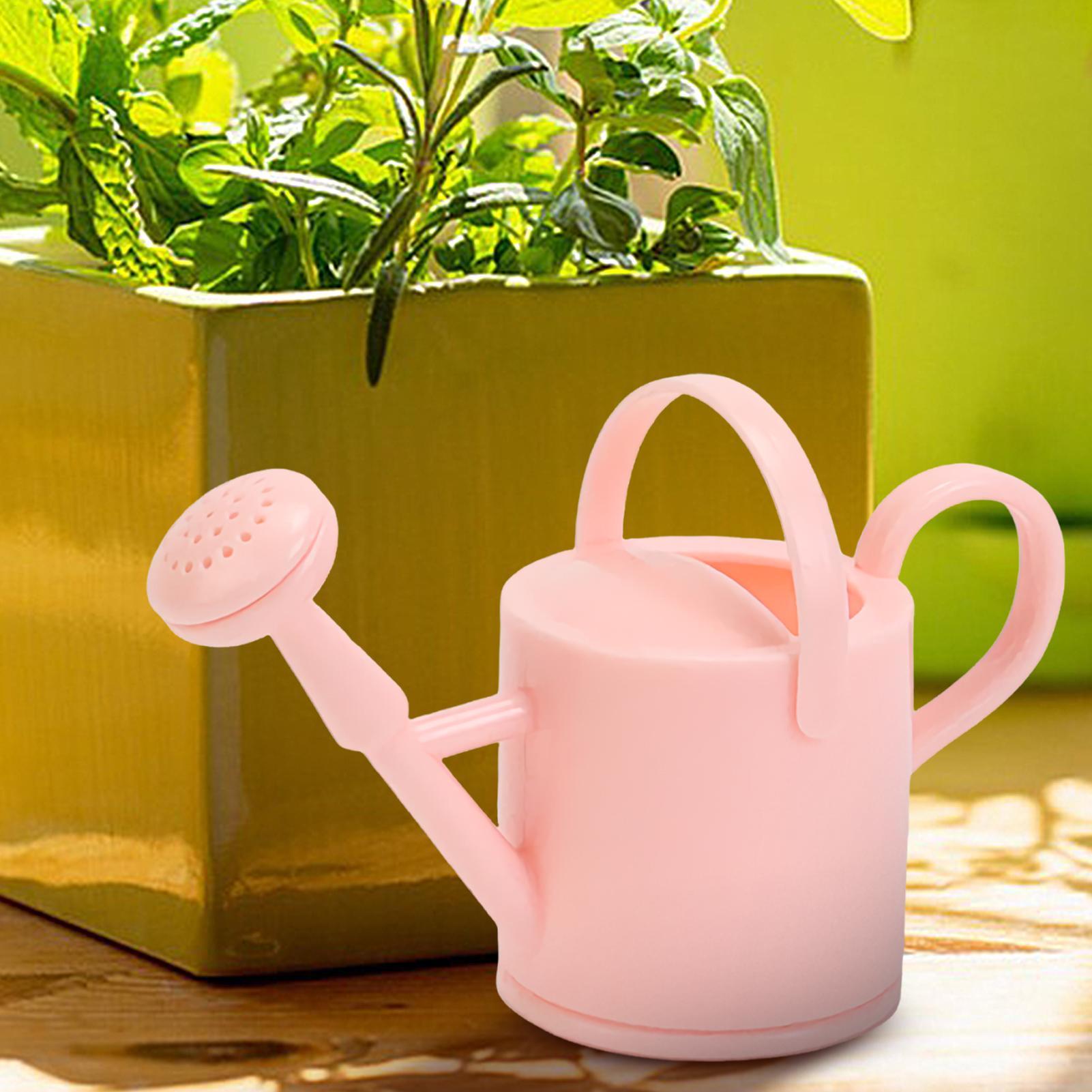 إبريق سقي صغير للأطفال، أداة م - مراجعة Terracotta Pot وسعره