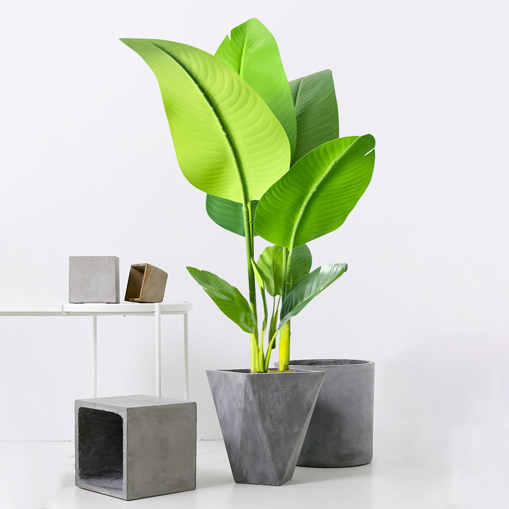 24 قطعة من دعامات النباتات الخ - مراجعة Plant Support Stake وسعره